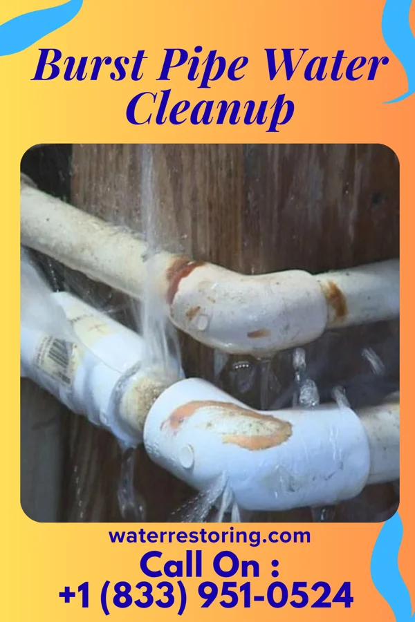 Burst Pipe Water Cleanup in Clifton, WV