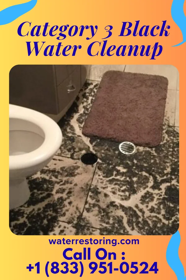 Category 3 Black Water Cleanup in Clifton, WV
