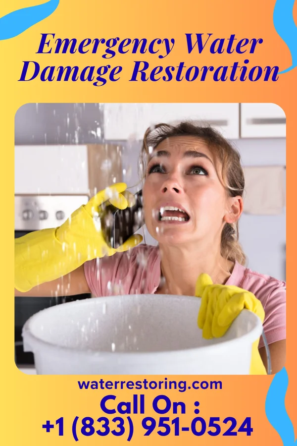 Emergency Water Damage Restoration in Clifton, WV