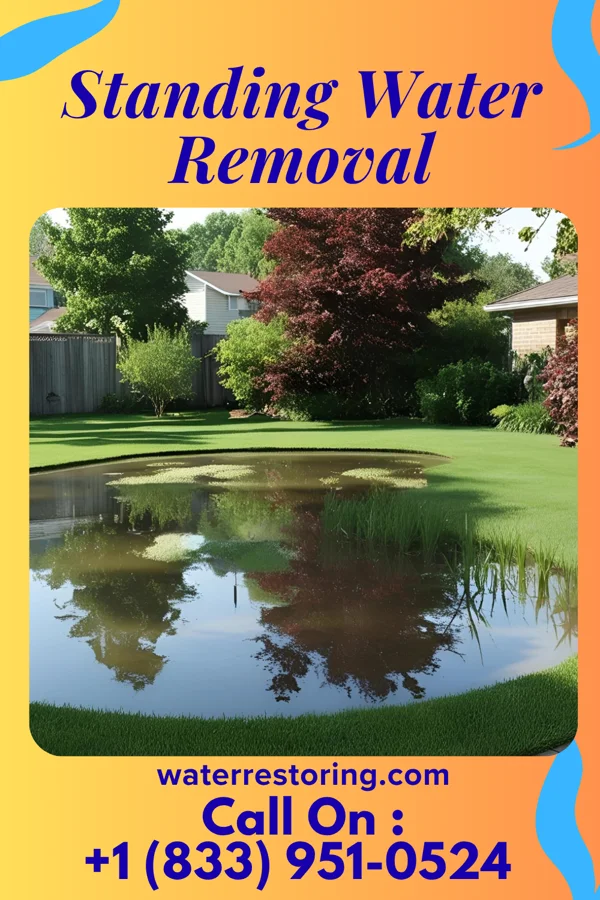 Standing Water Removal in Clifton, WV